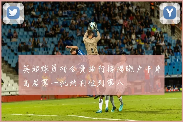 英超球员转会费排行榜揭晓卢卡库高居第一托纳利位列第八