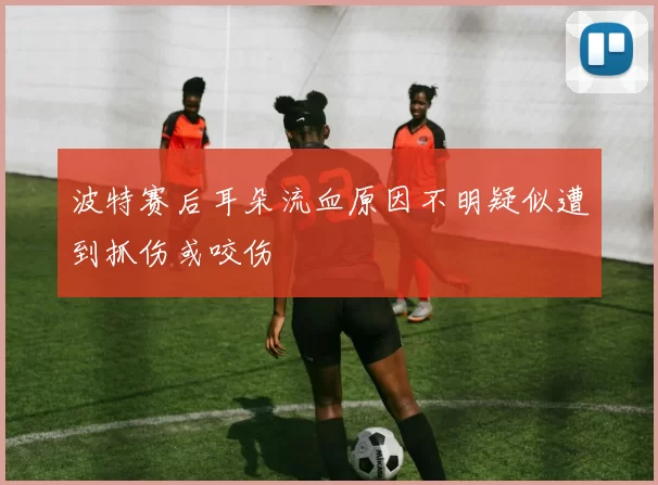 波特赛后耳朵流血原因不明疑似遭到抓伤或咬伤