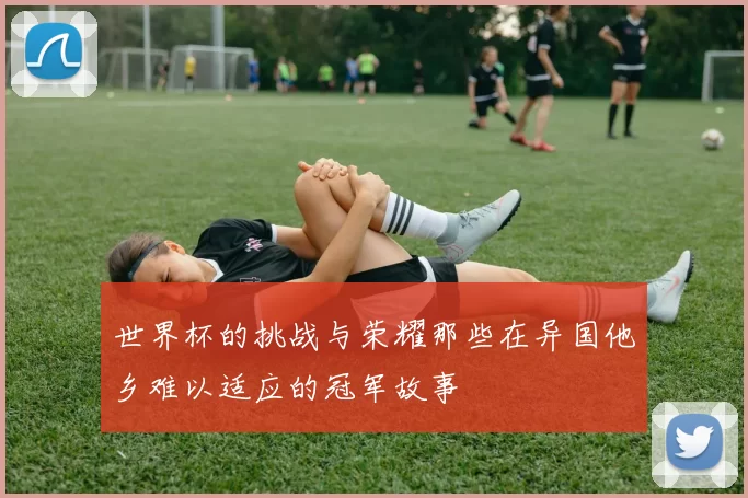 世界杯的挑战与荣耀那些在异国他乡难以适应的冠军故事